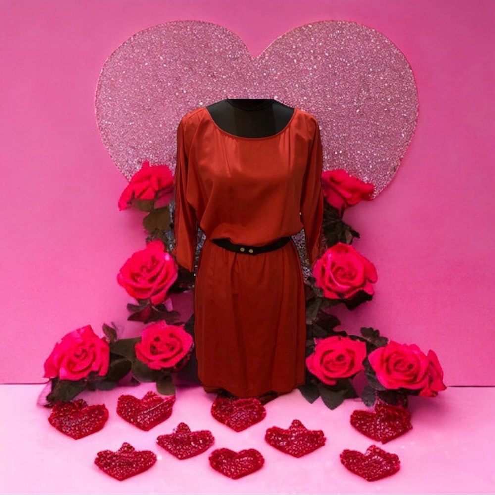 MICHAEL KORS Red Blaze Blouson Waist Dress, 3/4 Sleeve Removable Belt NWT $140 - Picture 4 of 16